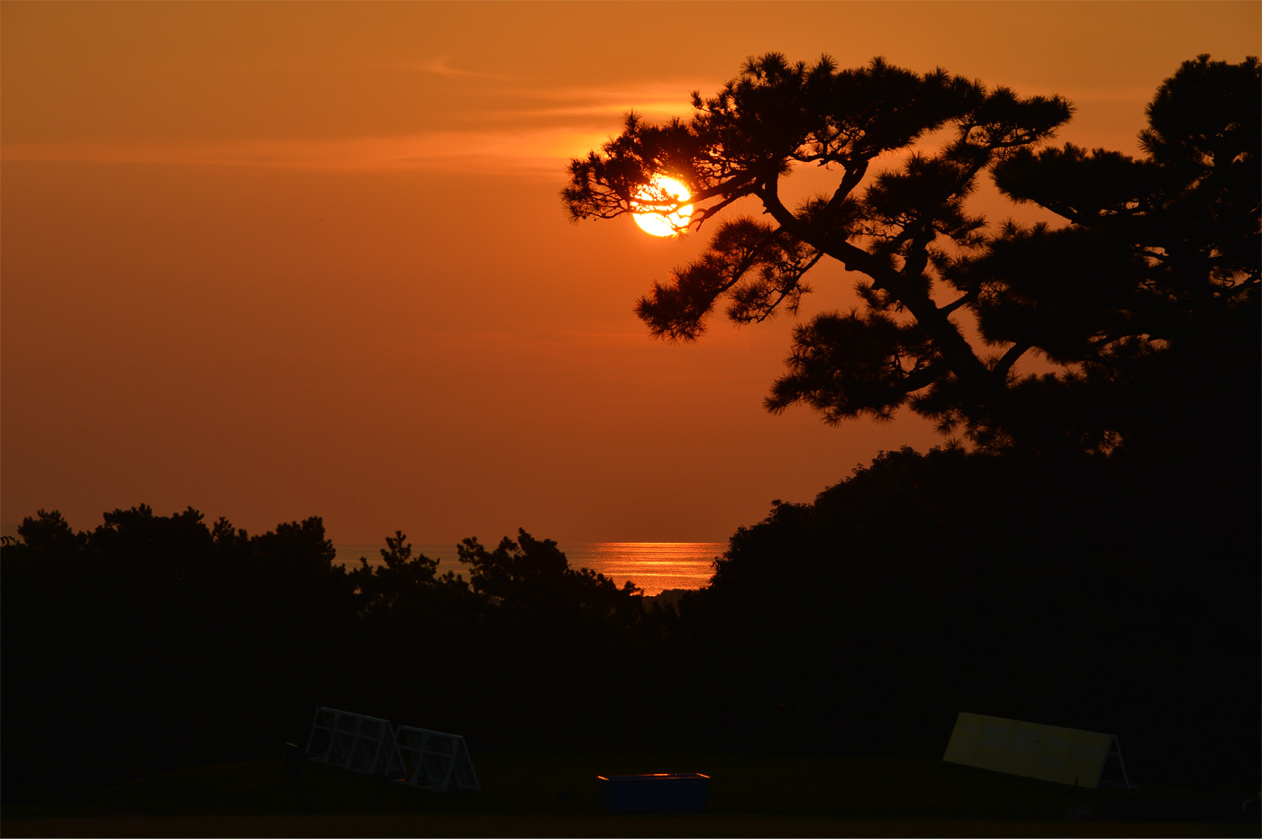 コースの見出し写真